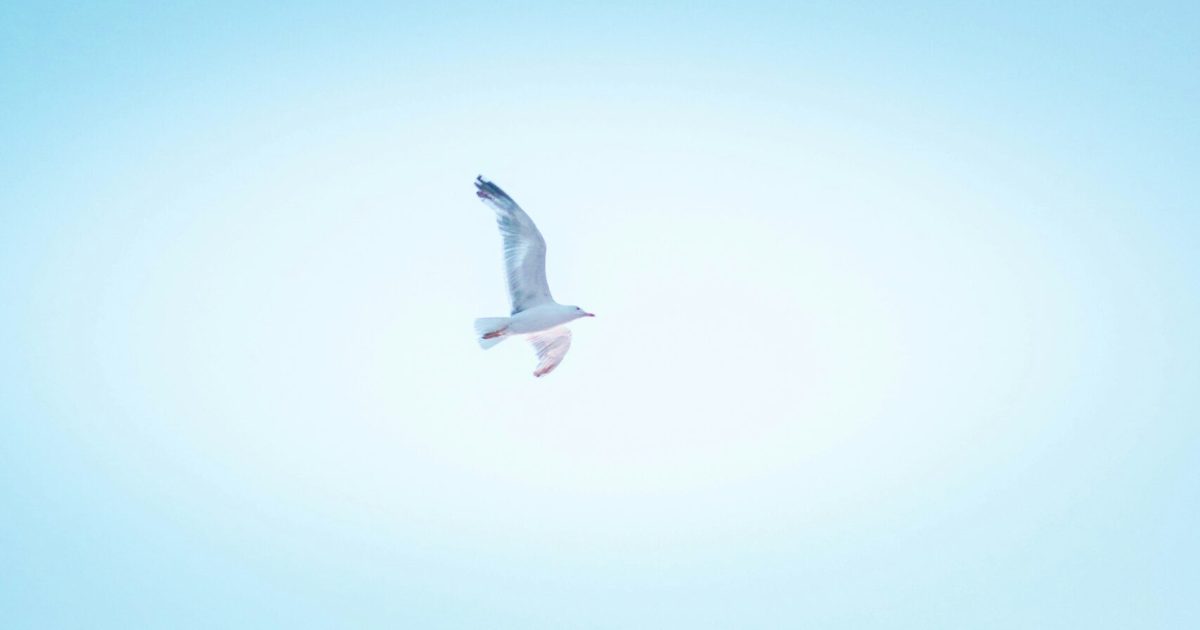 cristian-vieriu-xVP_x0DWSmo-unsplash