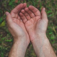 Open hands. Holding, giving, showing concept. Empty hands on outdoor. Man holding something on his palm